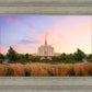 Oquirrh Grassy Morning