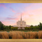 Oquirrh Grassy Morning
