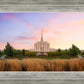 Oquirrh Grassy Morning
