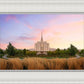 Oquirrh Grassy Morning