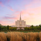 Oquirrh Grassy Morning