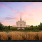 Oquirrh Grassy Morning