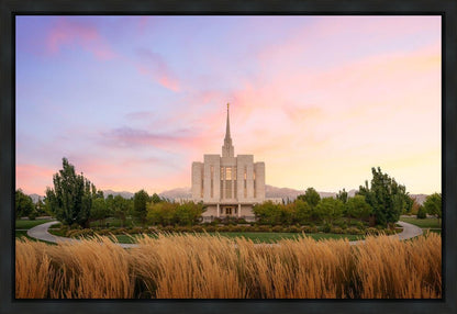 Oquirrh Grassy Morning