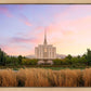 Oquirrh Grassy Morning