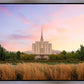 Oquirrh Grassy Morning