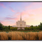 Oquirrh Grassy Morning
