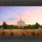 Oquirrh Grassy Morning