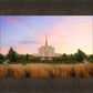 Oquirrh Grassy Morning