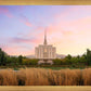 Oquirrh Grassy Morning