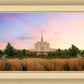 Oquirrh Grassy Morning