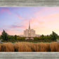 Oquirrh Grassy Morning