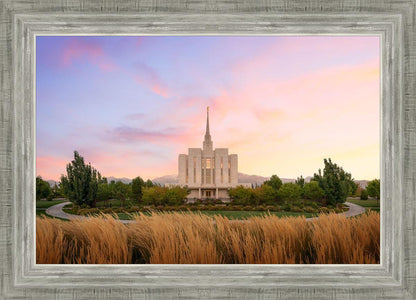 Oquirrh Grassy Morning