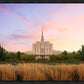 Oquirrh Grassy Morning