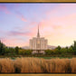 Oquirrh Grassy Morning