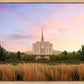 Oquirrh Grassy Morning