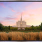 Oquirrh Grassy Morning