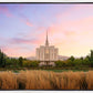 Oquirrh Grassy Morning