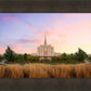 Oquirrh Grassy Morning