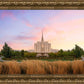 Oquirrh Grassy Morning