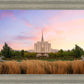 Oquirrh Grassy Morning