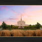 Oquirrh Grassy Morning