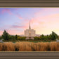 Oquirrh Grassy Morning