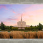 Oquirrh Grassy Morning