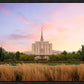 Oquirrh Grassy Morning