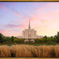 Oquirrh Grassy Morning