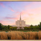 Oquirrh Grassy Morning