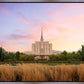 Oquirrh Grassy Morning