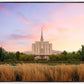 Oquirrh Grassy Morning
