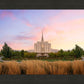 Oquirrh Grassy Morning
