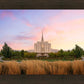 Oquirrh Grassy Morning