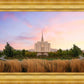 Oquirrh Grassy Morning