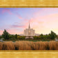 Oquirrh Grassy Morning