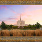 Oquirrh Grassy Morning