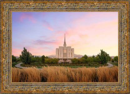Oquirrh Grassy Morning