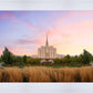 Oquirrh Grassy Morning