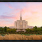Oquirrh Grassy Morning
