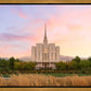 Oquirrh Grassy Morning