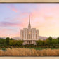 Oquirrh Grassy Morning