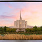 Oquirrh Grassy Morning