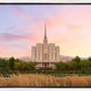 Oquirrh Grassy Morning