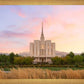 Oquirrh Grassy Morning