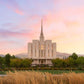 Oquirrh Grassy Morning