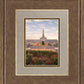 Reno Flowers