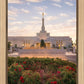 Reno Flowers