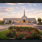 Reno Flowers