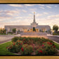 Reno Flowers